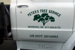 Tree Service Vehicle Door Graphics