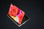 Netbook Skin - Roses